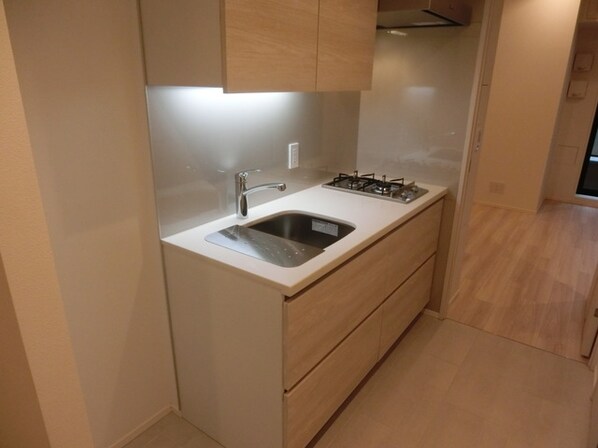 ザ・パークハビオ神楽坂香月の物件内観写真